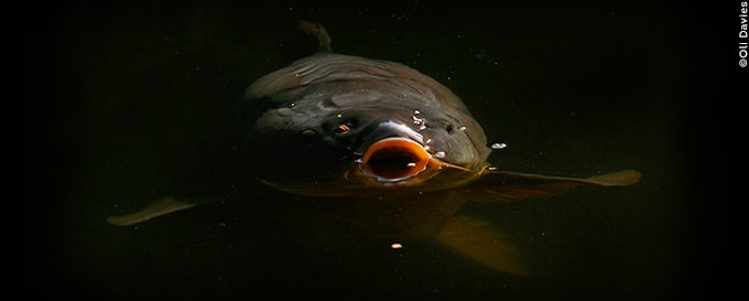 Polarised-Fishing-Sunglasses Polarised fishing sunglasses